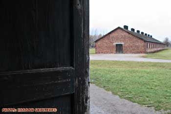 IMG_ (11552)